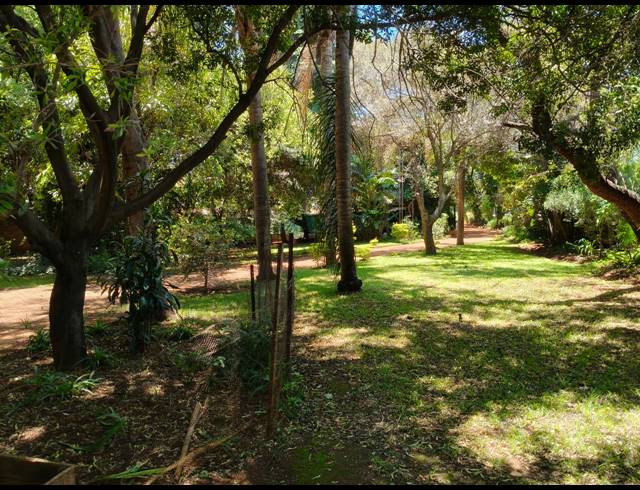 3.80HA FARM FOR SALE IN BOSCHFONTEIN AH